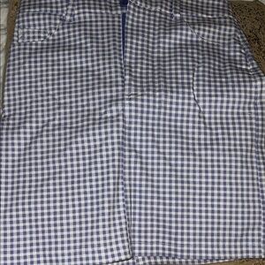 Forever 21 Blue and White Gingham Mini Skirt